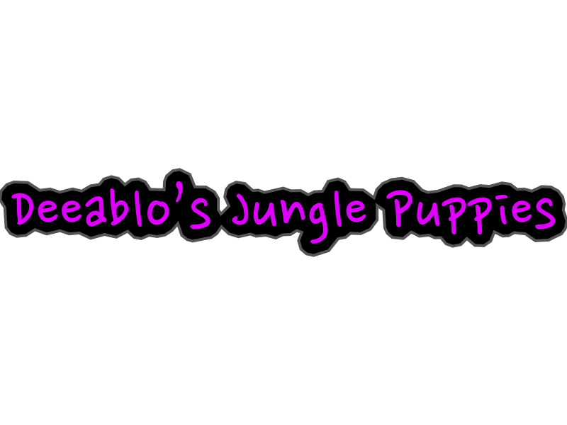 Custom Neon Sign - Order #981