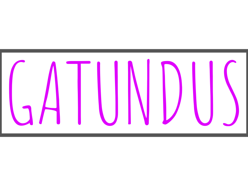 Custom Neon Sign - Order #1013