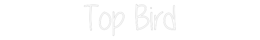 Custom Neon Text - Top Bird