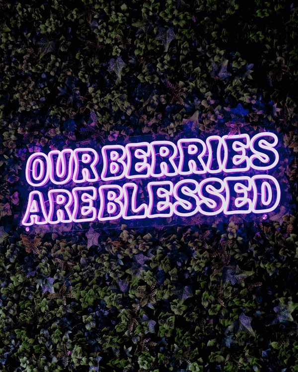 blessed-bowls-thirroul-gallery-4