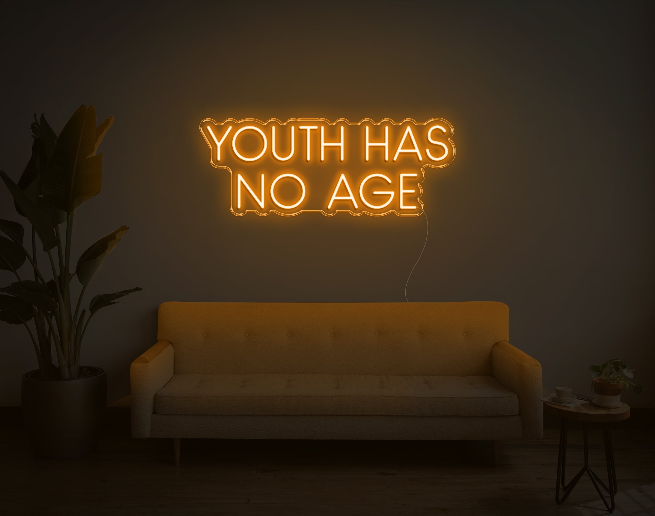 Youth Has No Age LED Neon Sign