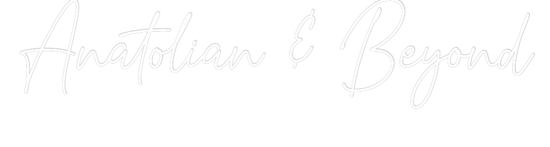 Custom Neon Text - Anatolian & B...