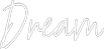 Custom Neon Text - Dream